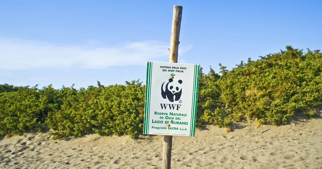 Le stime del Wwf sulla diminuzione della diversità dei vertebrati dovranno essere riviste