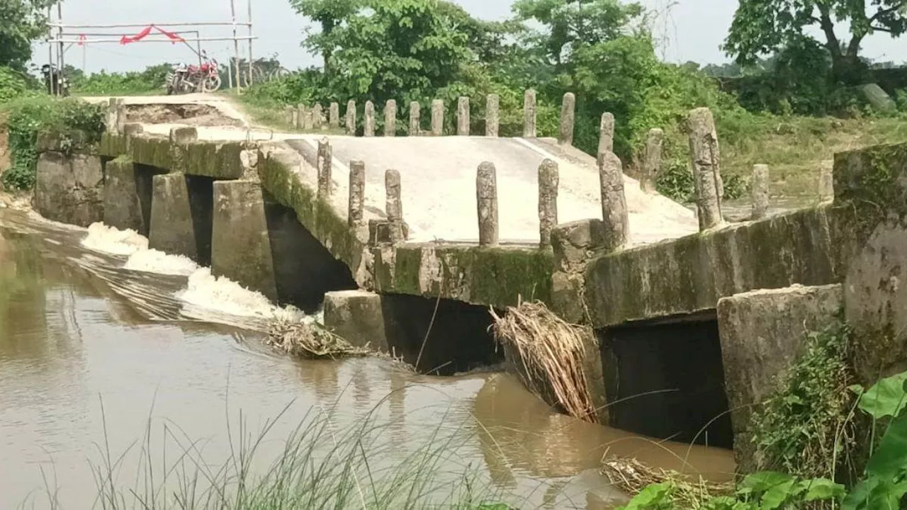 Bihar Bridge Collapse: बिहार में एक और ब्रिज धड़ाम, हफ्तेभर के अंदर चौथा पुल हुआ धराशायी, 40 हजार की आबादी का टूटा संपर्क