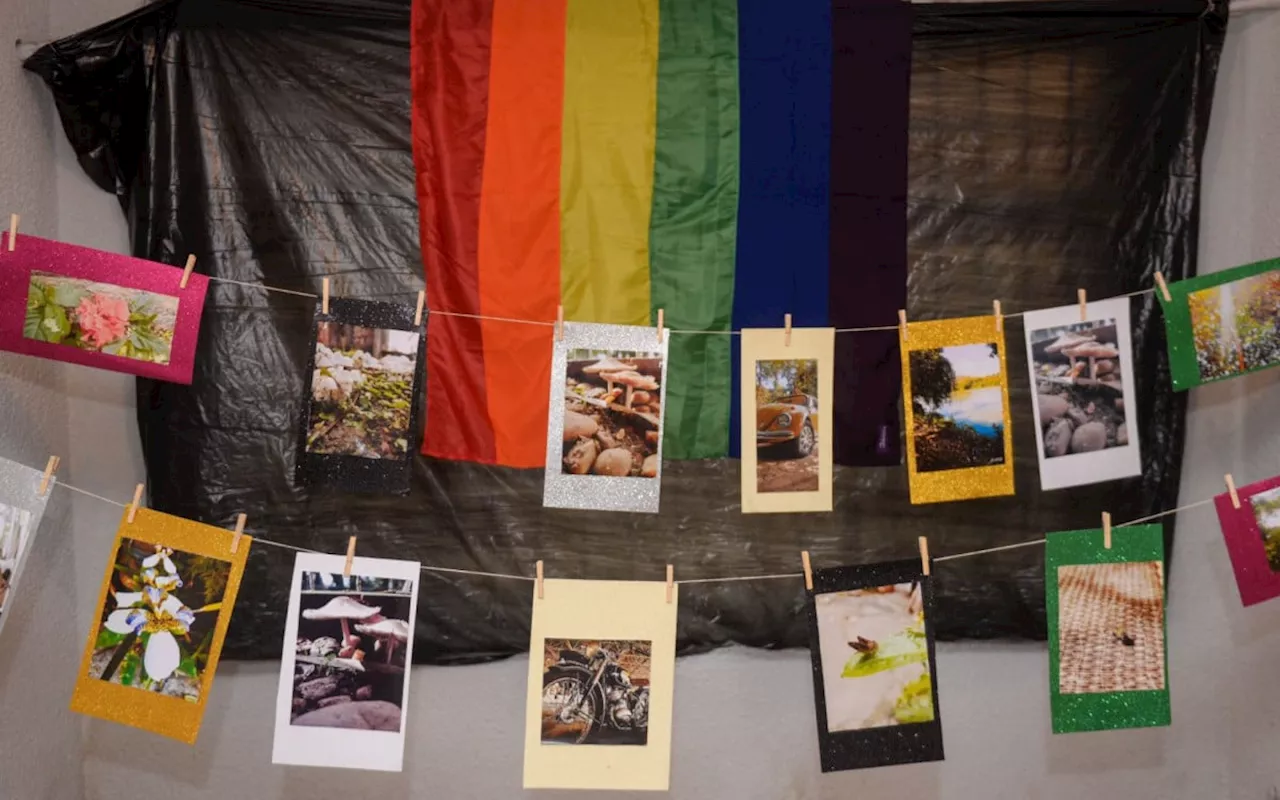 Dia do Orgulho LGBTQIAPN+: Barra Mansa realiza exposição de artistas locais