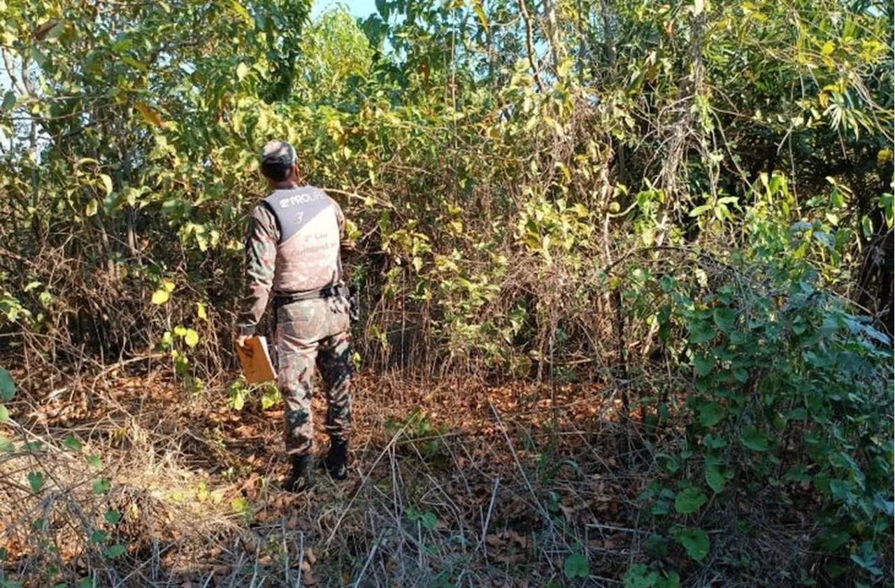 Operação identifica 18 locais de origem de incêndios que queimaram 56 mil hectares no Pantanal