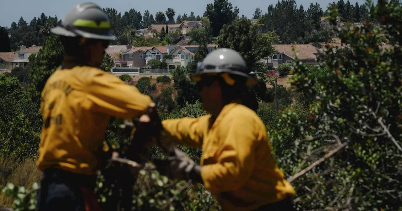 Is Chula Vista doing enough to manage its wildfire risk?