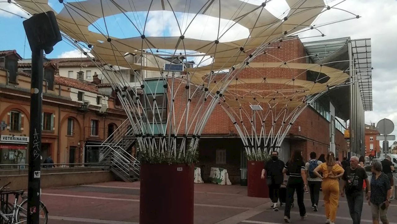 Toulouse : à Saint-Cyprien, la nouvelle canopée de la discorde