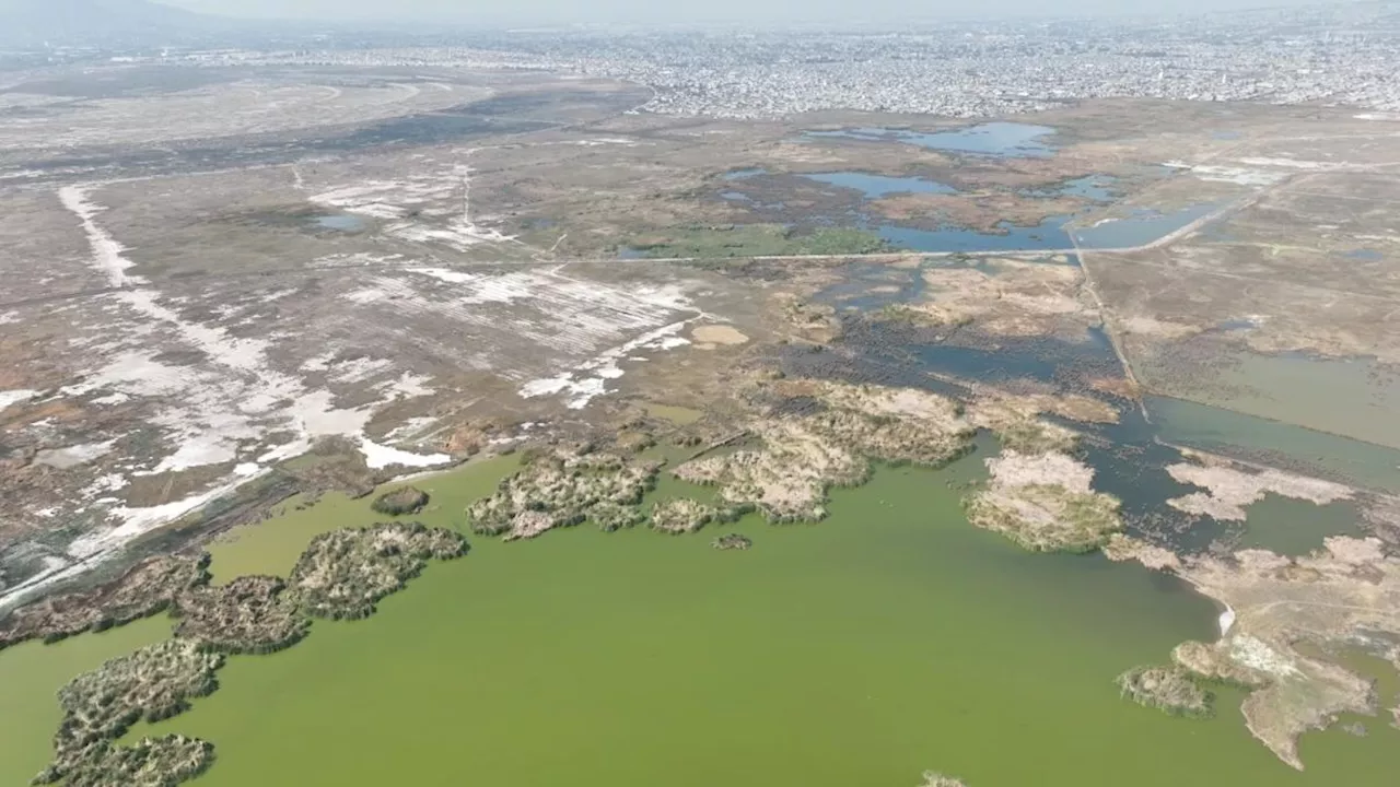 Lago de Texcoco: Así luce el parque que es 17 veces más grande que Chapultepec |FOTOS