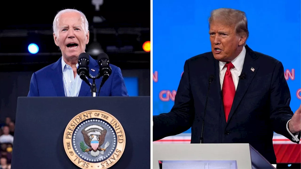 Joe Biden vows to say in presidential race as he declares Trump a 'one man crimewave'