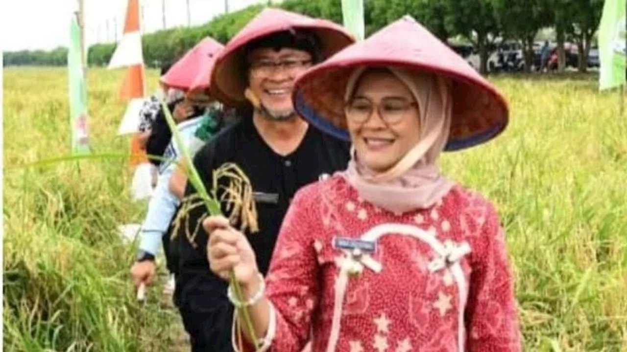 Jelang Pilkada Indramayu, Kelompok Petani Milenial Akui Kinerja Nina Agustina