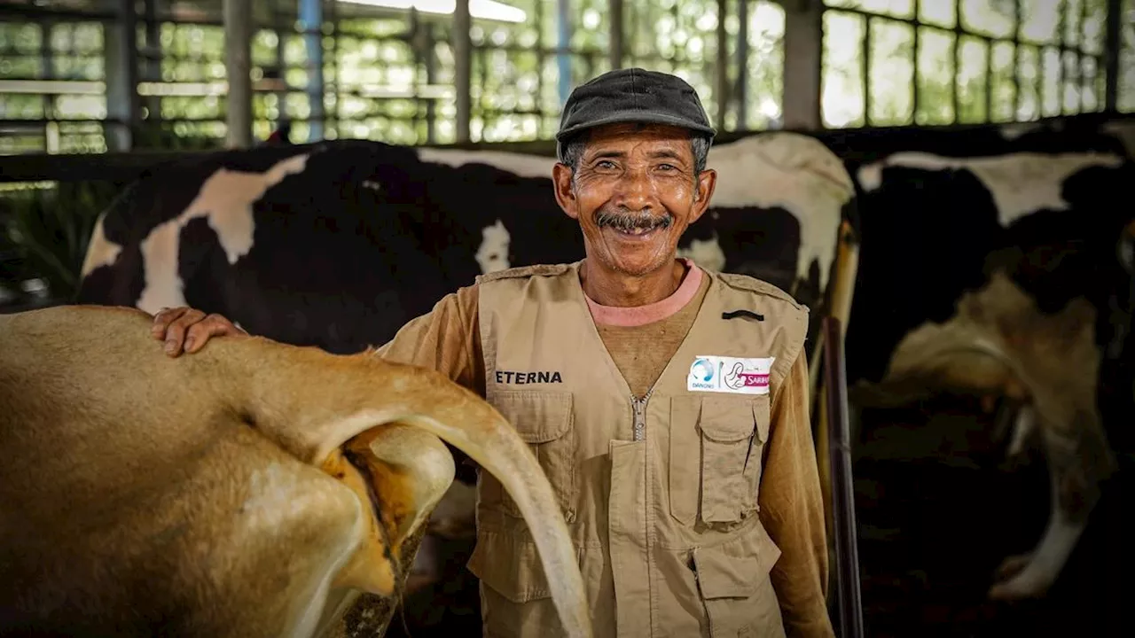 Menjaga Ketahanan Pangan lewat Pemberdayaan Peternak Sapi Perah Lokal