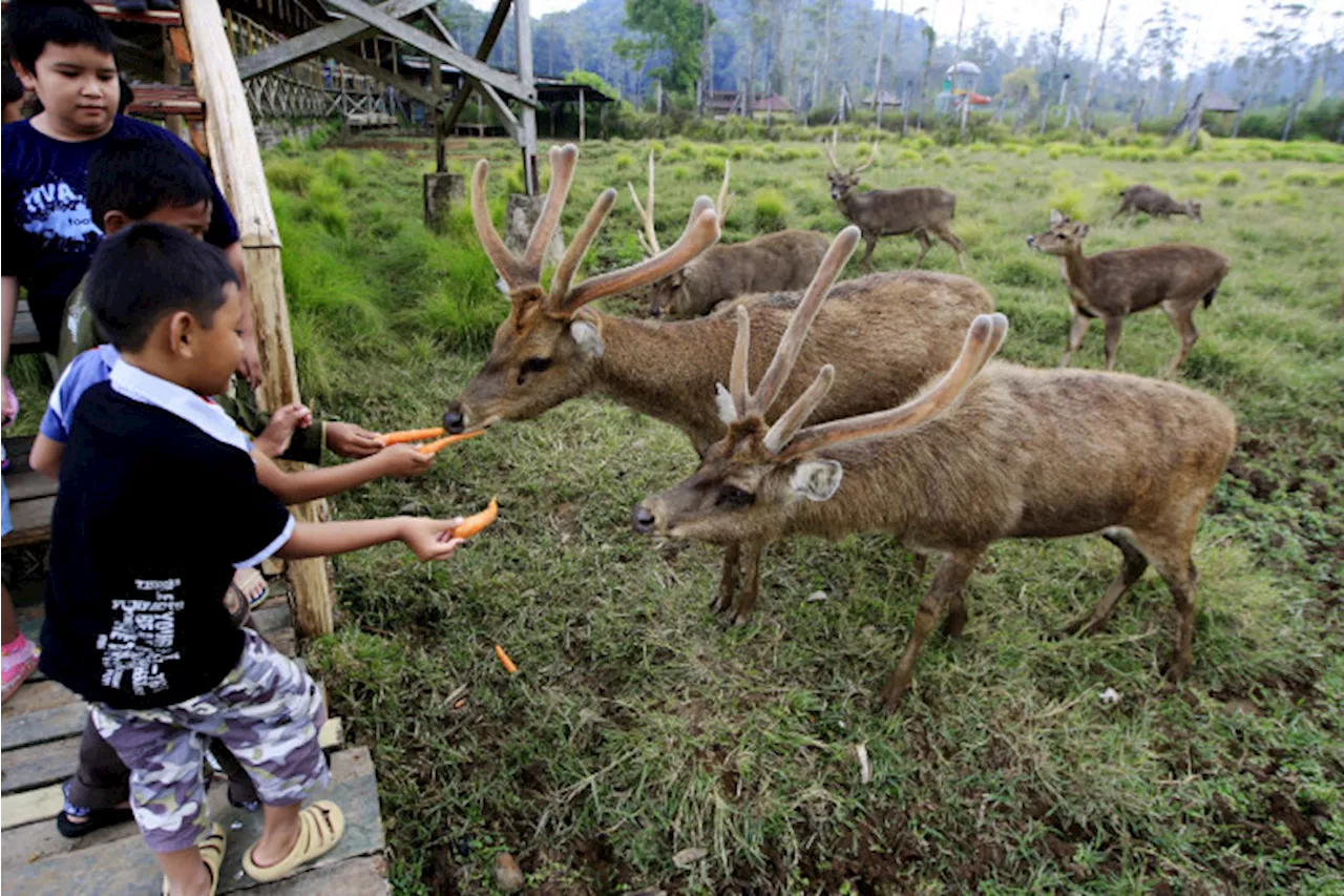 10 Tempat Wisata di Bandung Paling Hits dan Favorit Dikunjungi saat Liburan