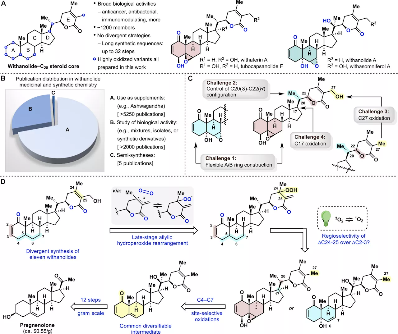 Researchers develop scalable synthesis of cancer-fighting compounds