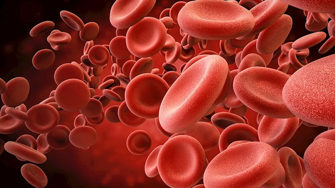 Hemophilia: Marstacimab Sustains Long-Term Bleeding Decrease