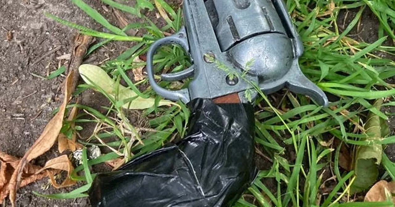 'Gun' found in Manchester park by litter picker destroyed by police