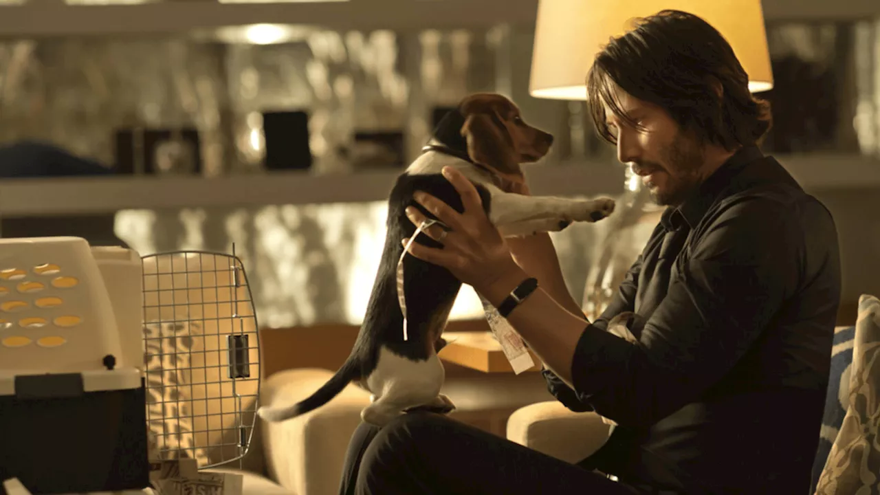 Netflix: la vieja película con Keanu Reeves que está entre lo más visto en la plataforma