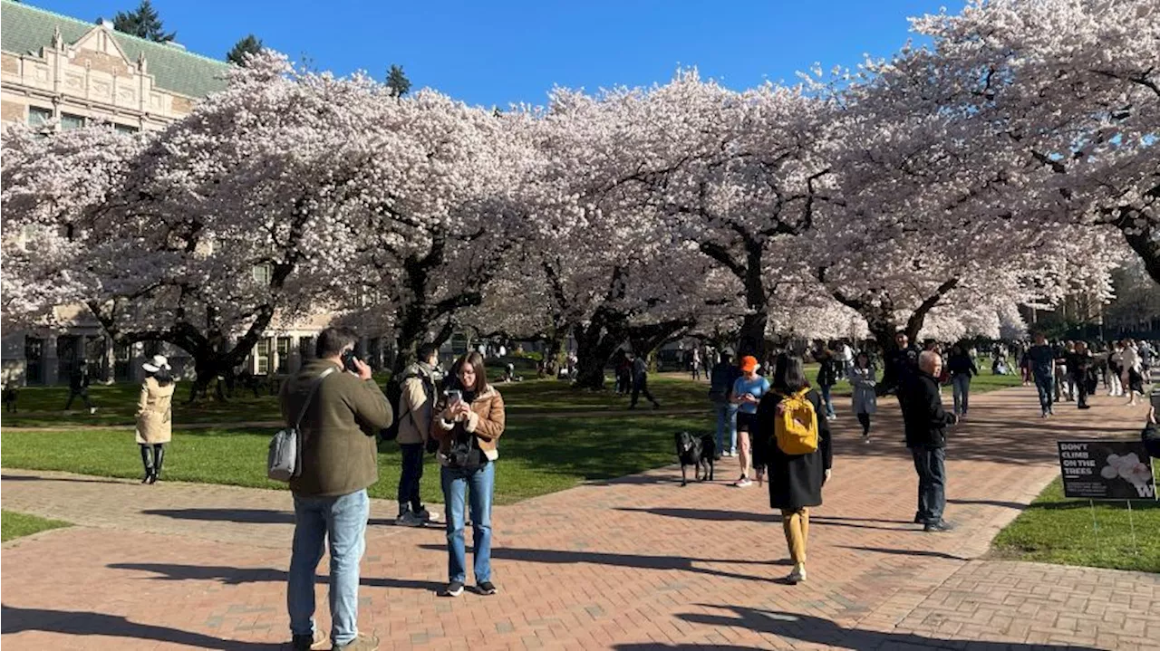 Study: University of Washington outranks Columbia, Princeton, Yale