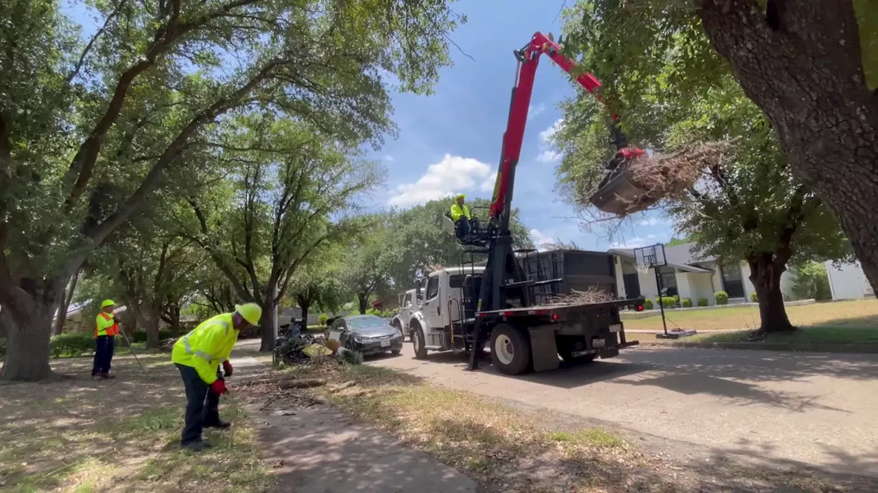 Dallas on target to complete 60-day storm debris cleanup