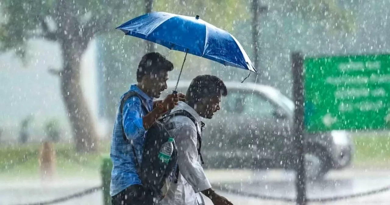 UP Local Weather : यूपी में तेजी से बढ़ रहा मॉनसून, आज से भारी बारिश, बिजली गिरने का भी अलर्ट जारी