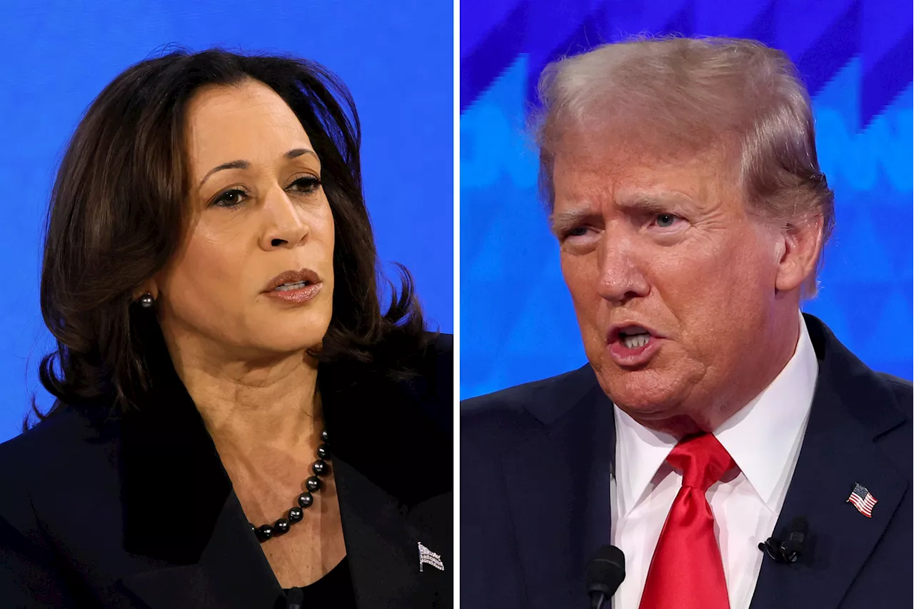 Kamala Harris' Chances of Beating Donald Trump if She Replaces Biden: Polls