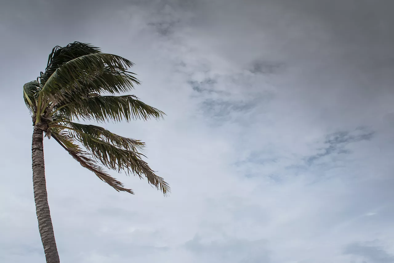 Spaghetti Models as Tropical Storm Beryl 'Likely' to Form