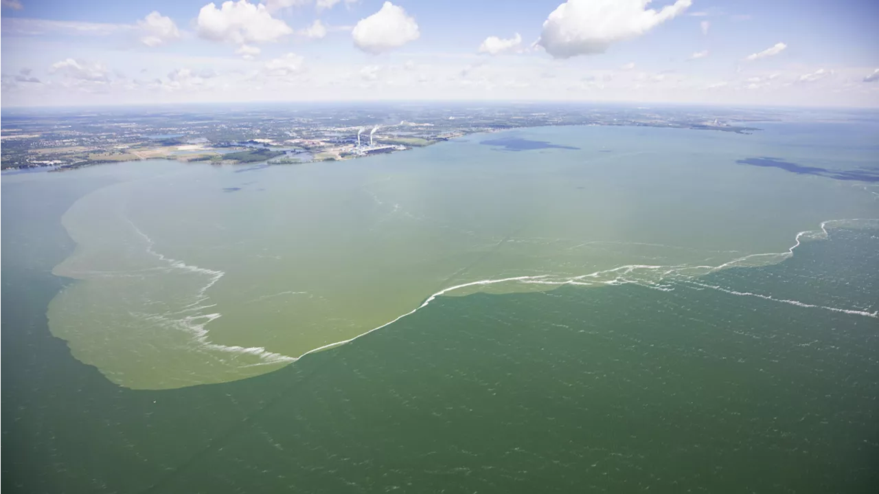 Moderate to above-moderate harmful algal bloom predicted for western Lake Erie