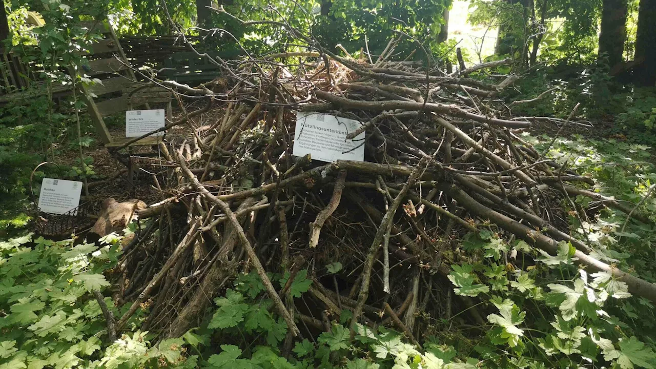 Eine Igelburg mit der ganzen Familie bauen