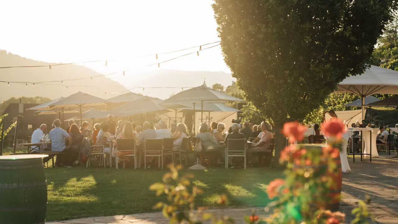 Festival-Vorschau: Mit Wein und Kultur den Sommer feiern