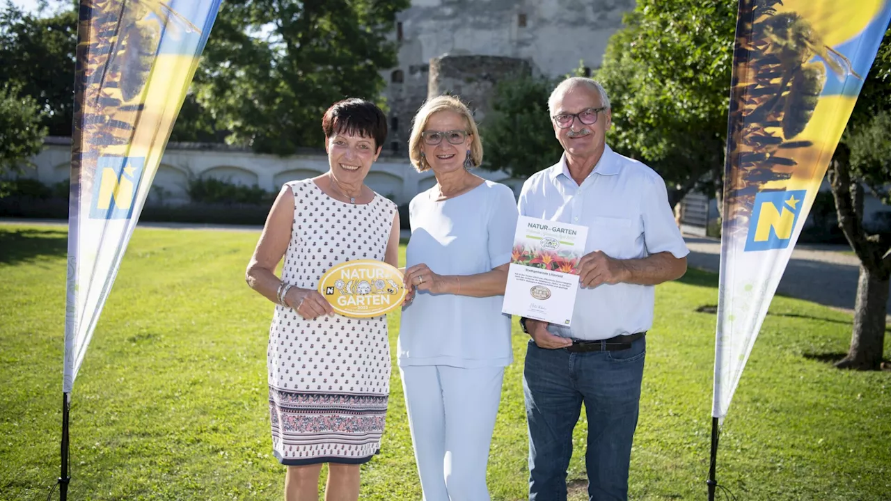 „Goldene Igel“ für vier Gemeinden des Bezirks