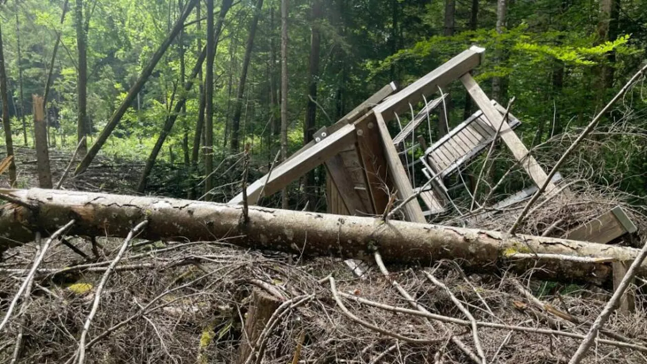 Im Nationalpark Gesäuse forscht man am Boden und in der Luft