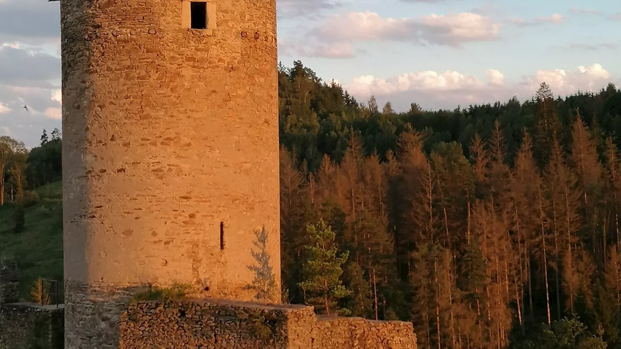 Wohin am Wochenende im Bezirk Waidhofen?