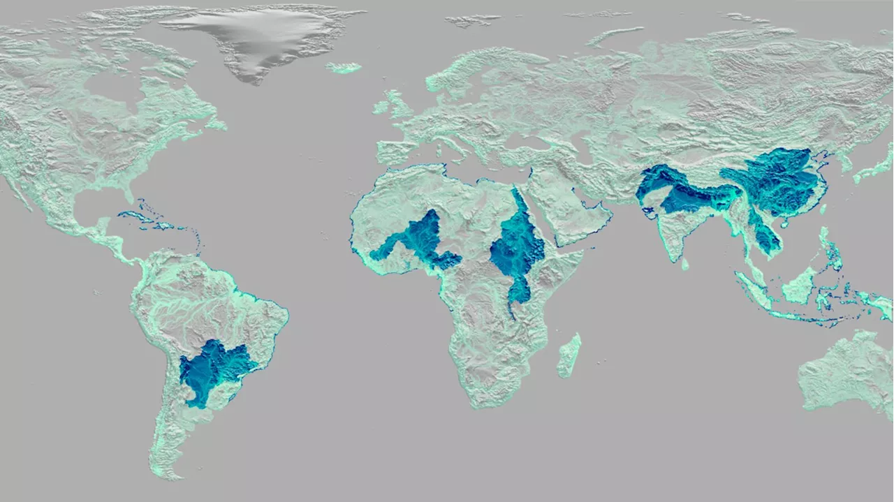 Drowning in waste: Pollution hotspots in aquatic environments