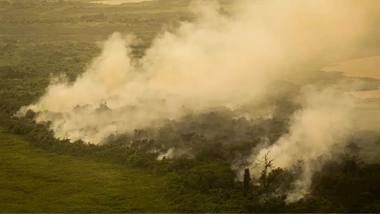 Comitiva do governo visita áreas do Pantanal afetadas pelos incêndios