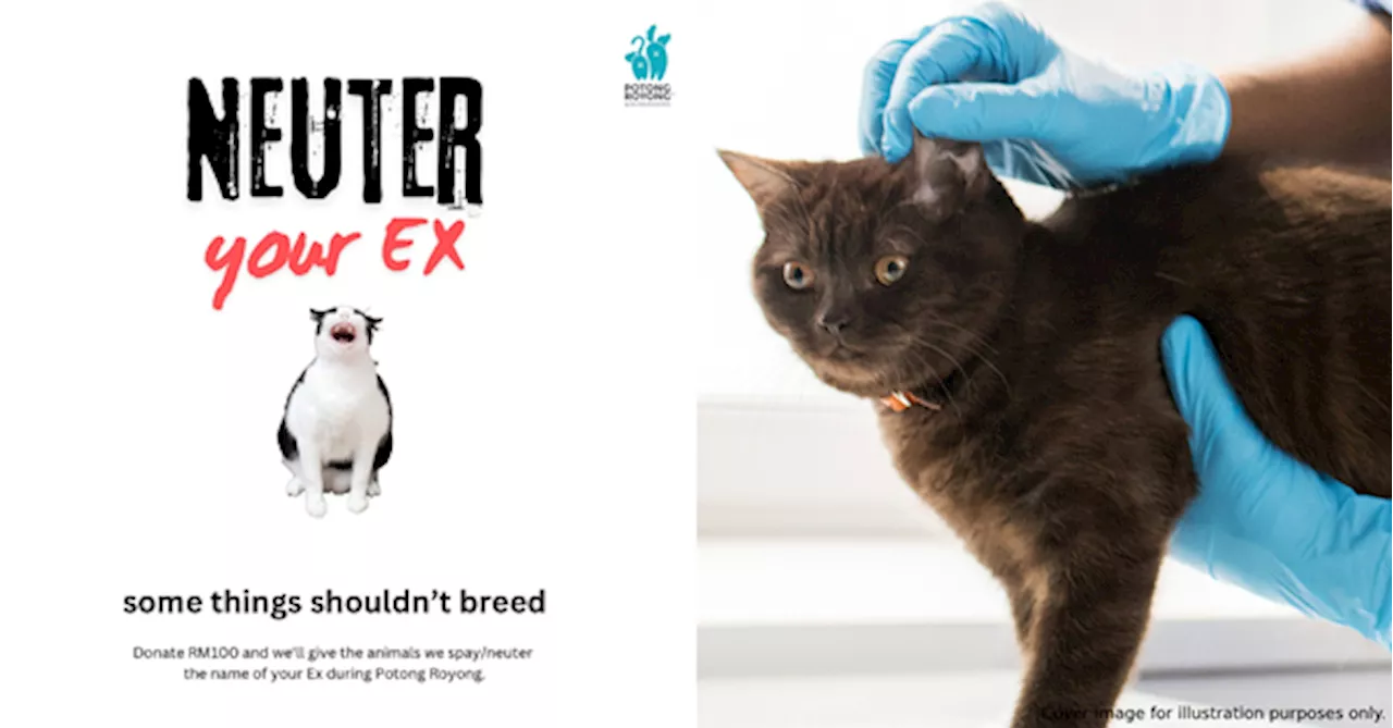 'Neuter Your Ex' — SPCA Selangor Wants You To Help Stray Animals By Being Extremely Petty