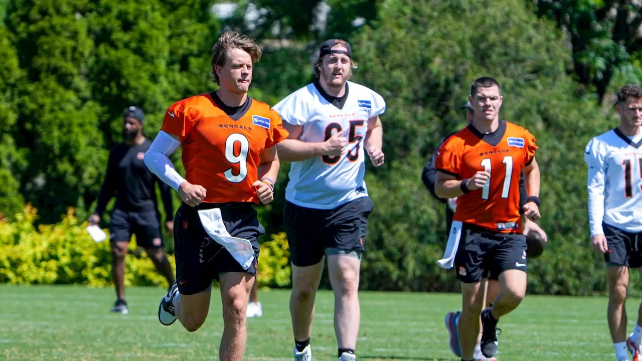 CBS Sports Identifies Joe Burrow's Health as Bengals' Biggest Red Flag Entering 2024