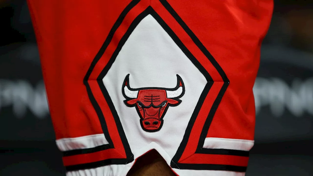 Chicago Bulls Reportedly Sign New Player