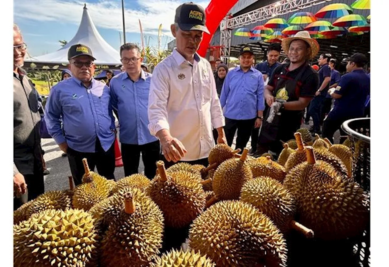 Agro Madani: Fama targeting RM2mil in sales in six states