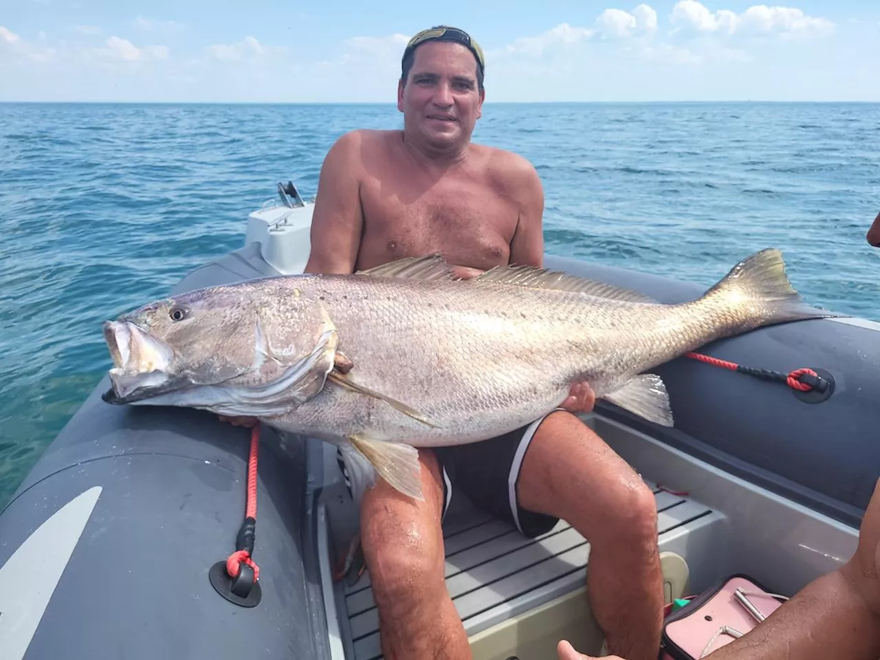 Charente-Maritime : ils pêchent un maigre aux dimensions impressionnantes dans le pertuis d’Antioche