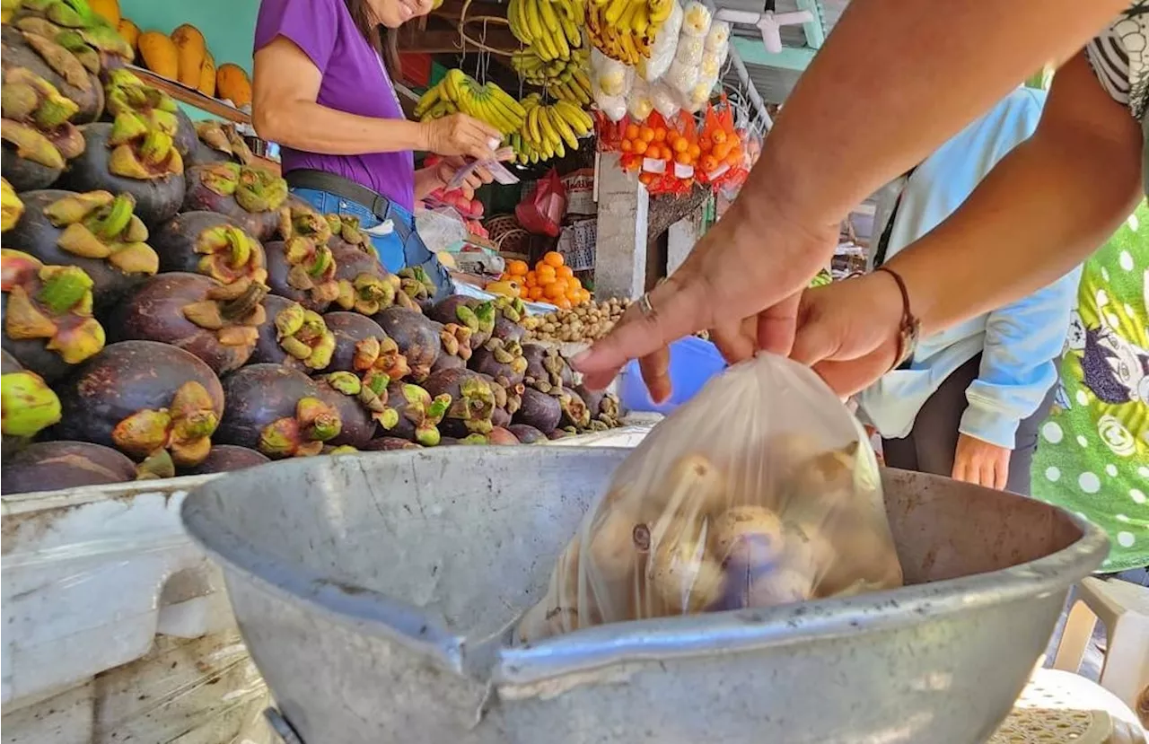 Groups await IRR of Davao City’s No to Single-Use Plastic ordinance