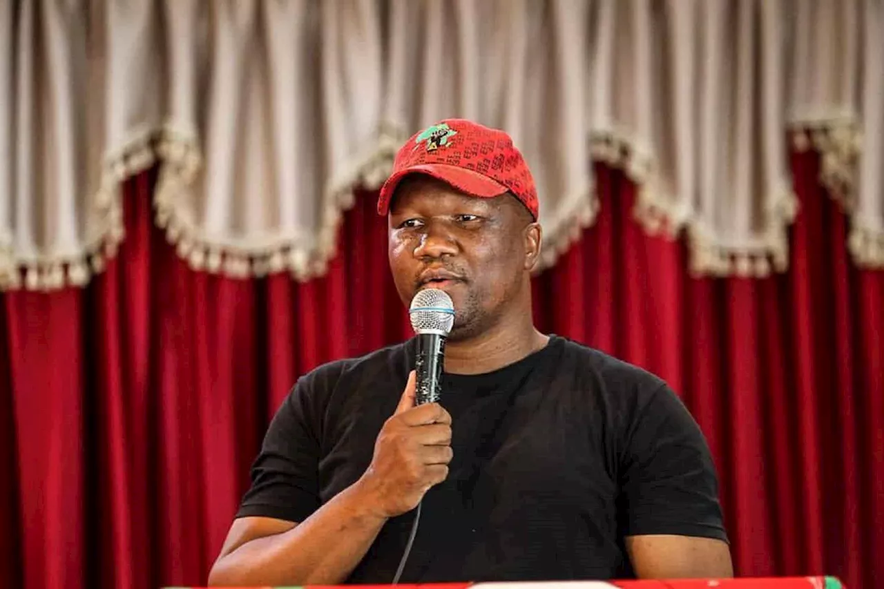 JUST IN: EFF’s Marshall Dlamini handed suspended sentence for assault