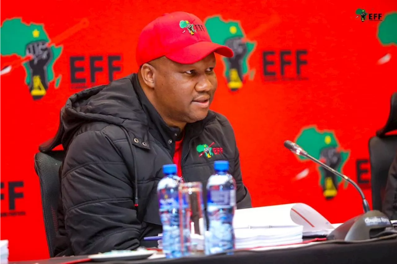 EFF’s Marshall Dlamini sentenced for assaulting police officer