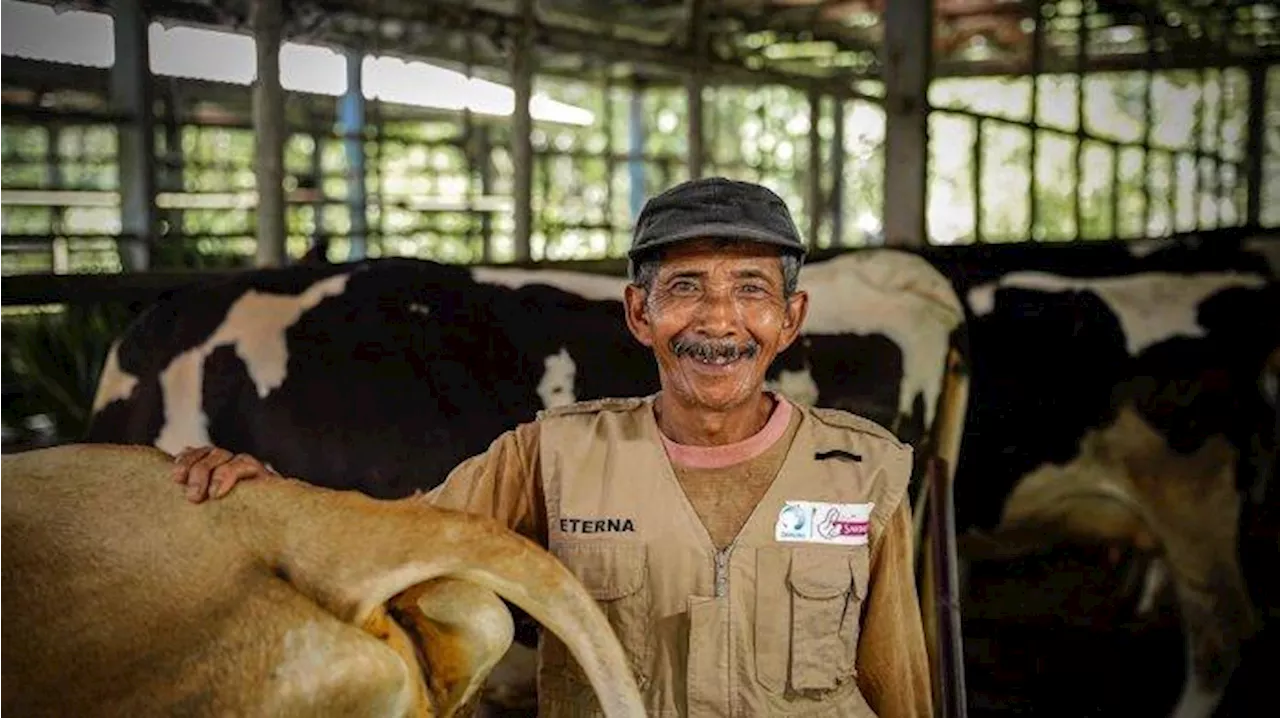 Batasi Ketergantungan Impor dan Penuhi Kebutuhan Susu dengan Pemberdayaan Peternak Sapi Perah Lokal