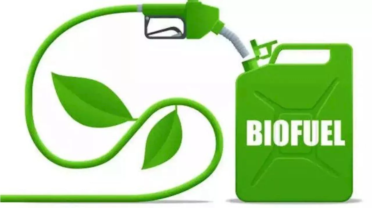 Indonesia-Jepang Bahas Biofuel untuk Menuju Netralitas Karbon Sektor Otomotif