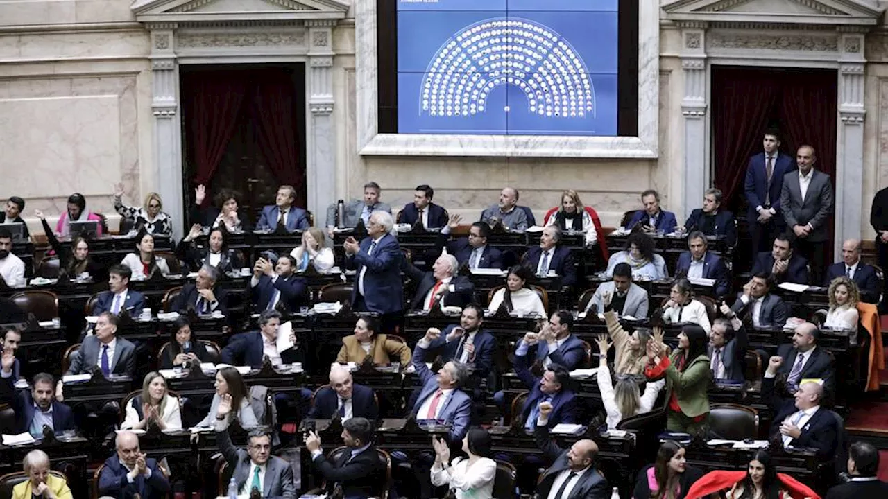 Argentine senate approves President Milei's 'austerity package'