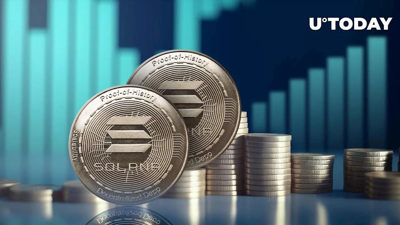 Solana (SOL) Skyrockets by 800%, Surpassing BTC, ETH in Yearly Gains