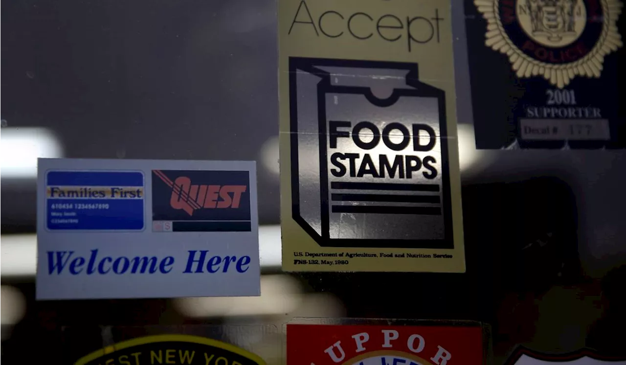 Feds wasted $10 billion in bogus food stamp payments last year