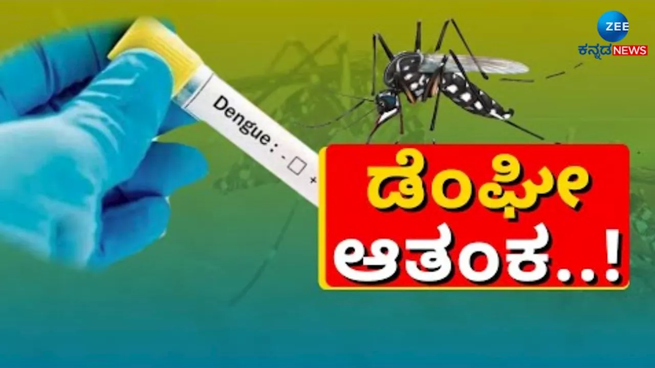 ಸಿಲಿಕಾನ್ ಸಿಟಿಯಲ್ಲಿ ಡೆಂಗ್ಯೂ ಅಬ್ಬರಕ್ಕೆ ಬ್ರೇಕ್ ಹಾಕಲು ಪಾಲಿಕೆ ಕಸರತ್ತು