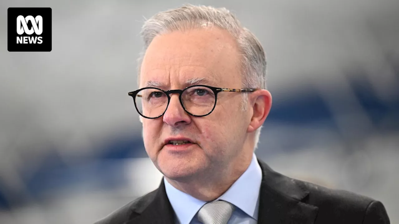 Prime Minister Anthony Albanese slams 'arrogant' tech giant Meta over harm to kids and media