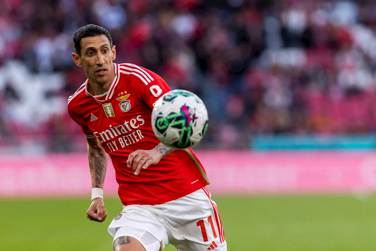 Benfica: «Di María está entre os cinco melhores do Mundo!»