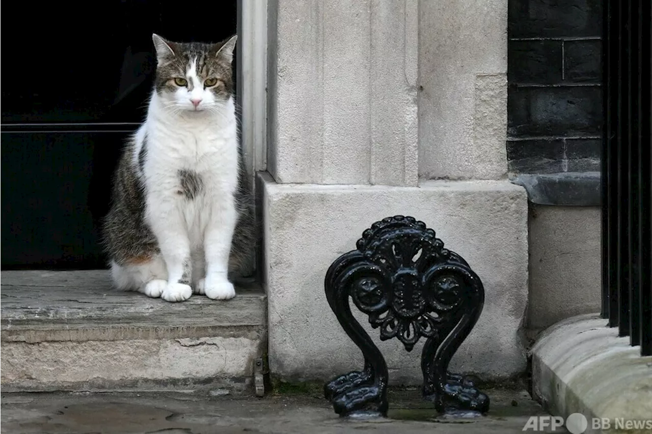 英首相官邸の猫「ラリー」 次の同居人は初の労働党首相か