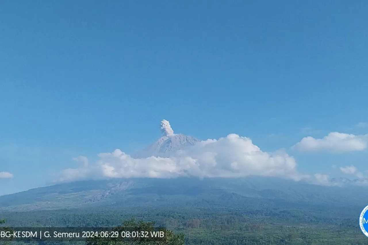 Gunung Semeru erupsi dengan letusan setinggi 900 meter