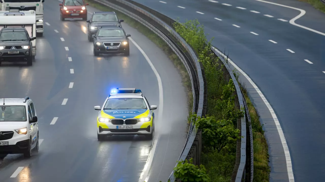 Mit Husky auf Schoß: Betrunkener Autofahrer flüchtet vor der Polizei