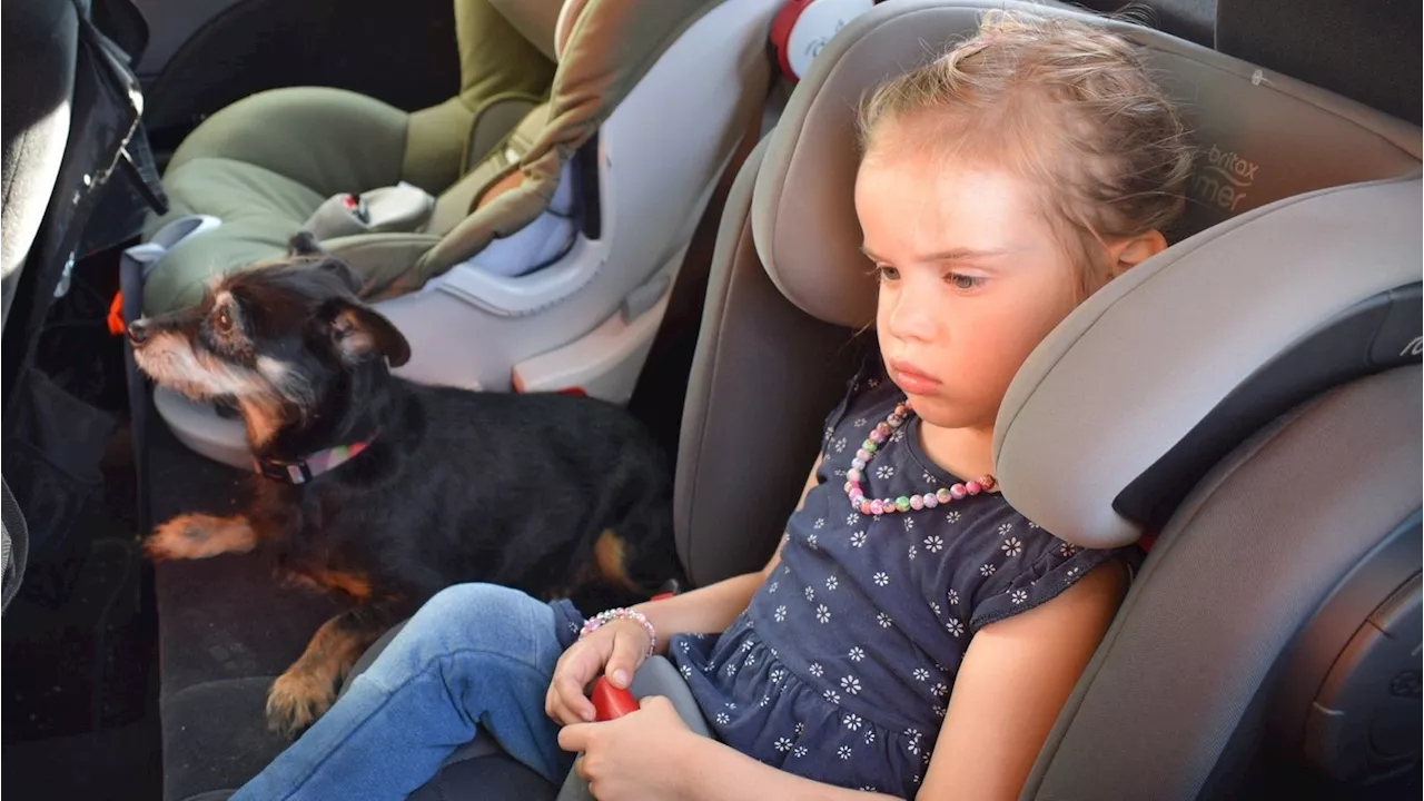 Hitze im Auto: Eine tödliche Falle für Kinder und Tiere