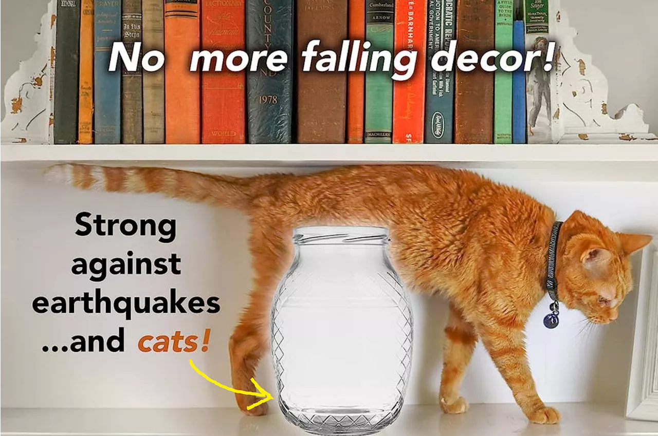 38 Things To Help Solve The Few Annoying Things About Your Cat