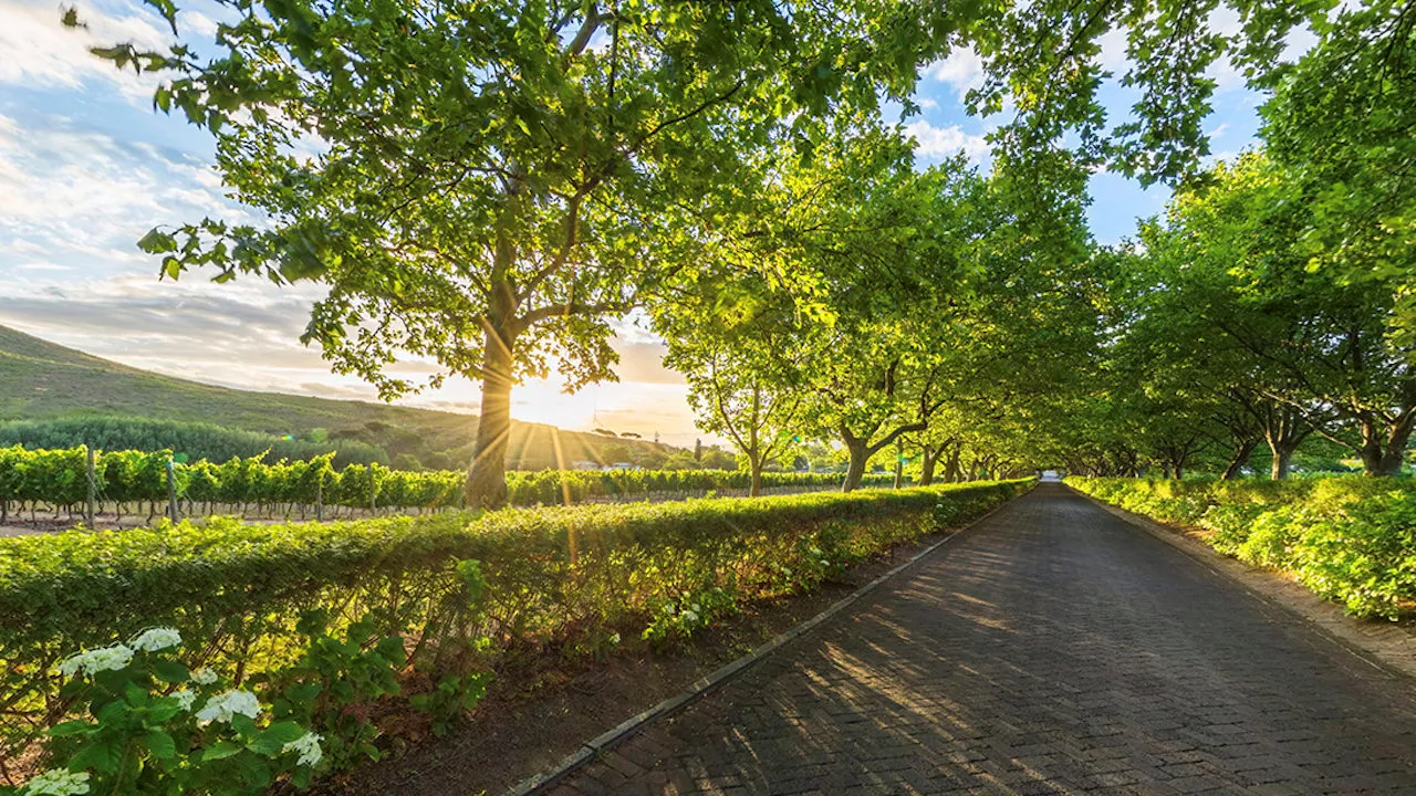 Escape to the Cape Winelands with Lanzerac